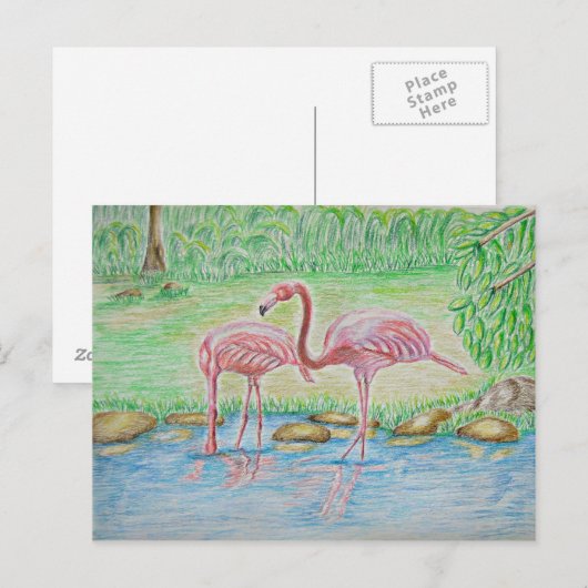 Flamingos Postkarte (Vorne/Hinten)