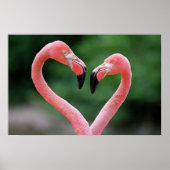 Flamingos Print Poster (Vorne)