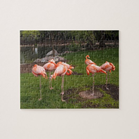 Flamingos Puzzle (Horizontal)
