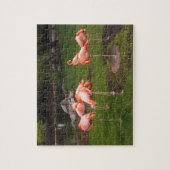 Flamingos Puzzle (Vertikal)