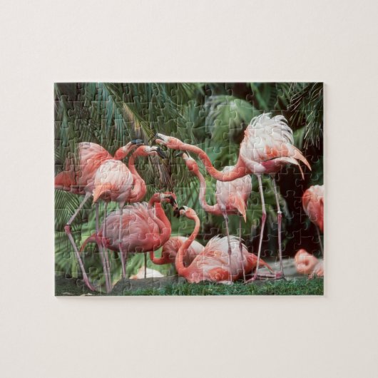 Flamingos Puzzle (Horizontal)