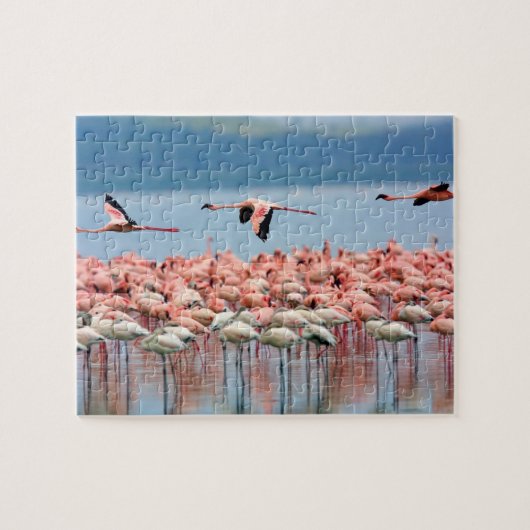 Flamingos Puzzle (Horizontal)