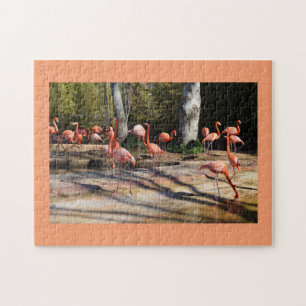 Flamingos Puzzle