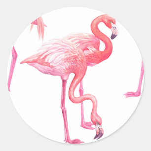 Flamingos Runder Aufkleber