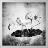Flamingos Schwarz und Weiß Poster (Vorne)