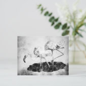 Flamingos Schwarz und Weiß Postkarte (Stehend Vorderseite)
