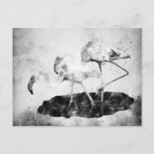 Flamingos Schwarz und Weiß Postkarte (Vorderseite)