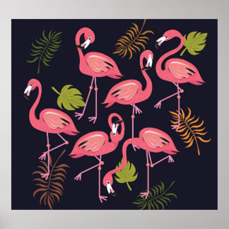 Flamingos Set, Tropenvogel Vintag. Poster