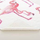 Flamingos Sherpadecke (3/4)