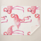 Flamingos Sherpadecke (Vorderseite (Horizontal))
