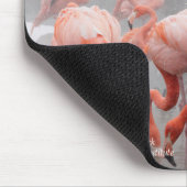 Flamingos Smithsonian | im Schnee Mousepad (Ecke)