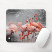 Flamingos Smithsonian | im Schnee Mousepad (Mit Mouse)