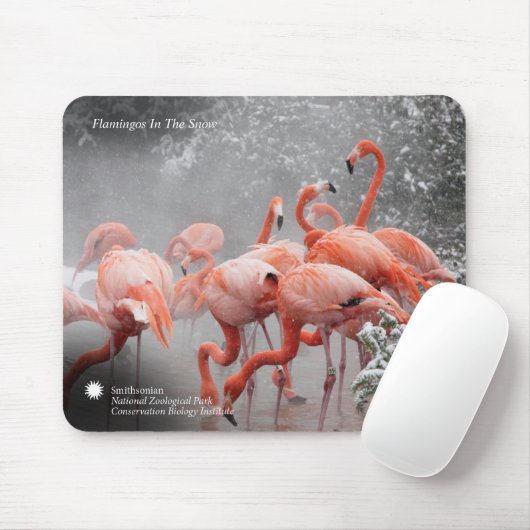 Flamingos Smithsonian | im Schnee Mousepad (Mit Mouse)