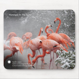 Flamingos Smithsonian   im Schnee Mousepad