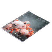 Flamingos Smithsonian | im Schnee Notizblock (Linke Seite)