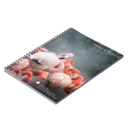 Flamingos Smithsonian | im Schnee Notizblock (Linke Seite)