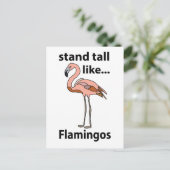 Flamingos Stand groß wie Flamingos Flamingos Flami Postkarte (Stehend Vorderseite)