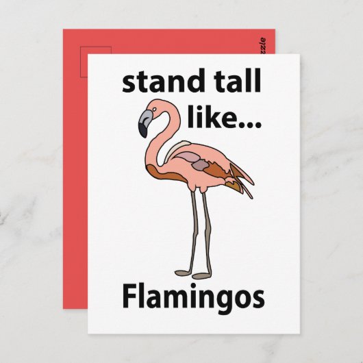 Flamingos Stand groß wie Flamingos Flamingos Flami Postkarte (Vorne/Hinten)