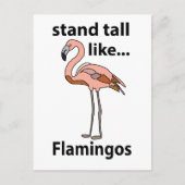 Flamingos Stand groß wie Flamingos Flamingos Flami Postkarte (Vorderseite)