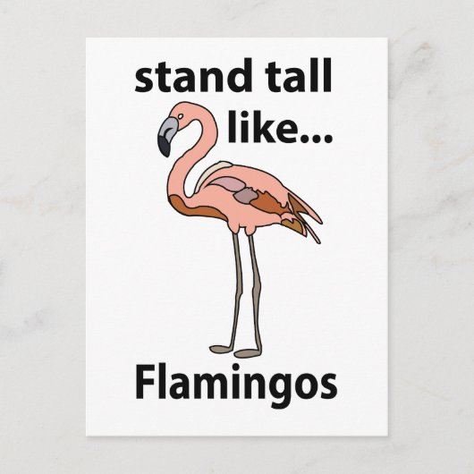 Flamingos Stand groß wie Flamingos Flamingos Flami Postkarte (Vorderseite)