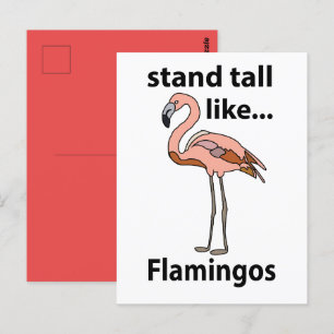 Flamingos stehen groß wie Flamingos Flamingo Postkarte