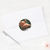 Flamingos Sticker (Umschlag)
