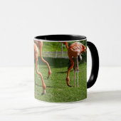 Flamingos Tasse (VorderseiteRechts)