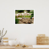 Flamingos und Küken Poster (Küche)