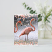 Flamingos und Wasserfall Postkarte (Stehend Vorderseite)