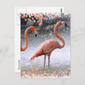 Flamingos und Wasserfall Postkarte (Vorne/Hinten)