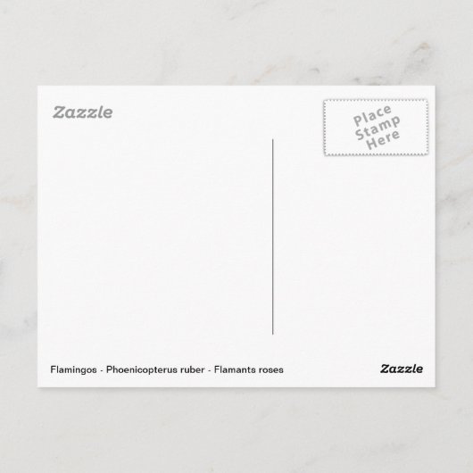 Flamingos und Wasserfall Postkarte (Rückseite)