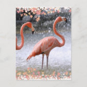 Flamingos und Wasserfall Postkarte (Vorderseite)