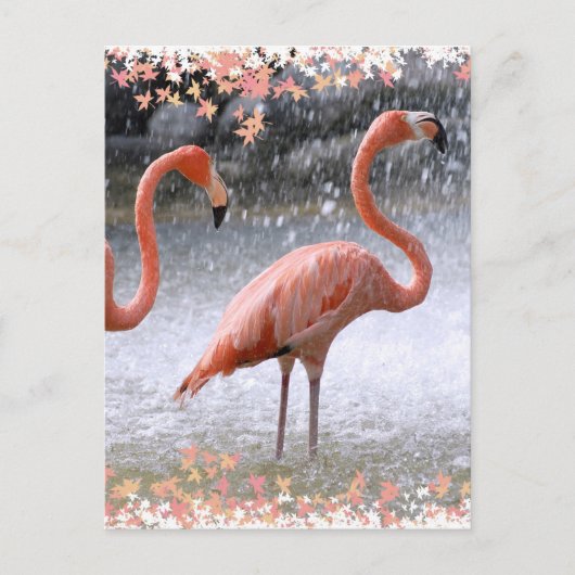 Flamingos und Wasserfall Postkarte (Vorderseite)