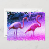 Flamingos und Wasserfall Postkarte (Vorne/Hinten)