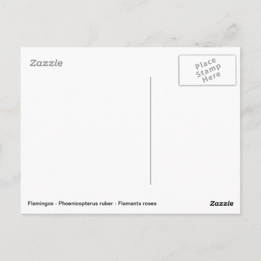 Flamingos und Wasserfall Postkarte (Rückseite)
