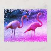 Flamingos und Wasserfall Postkarte (Vorderseite)
