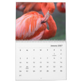 Flamingos Wall Calendar Kalender (Jan 2027)
