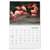 Flamingos Wall Calendar Kalender (Mär 2026)