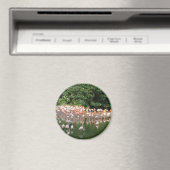 Flamingoschwarm Magnet (In Situ (Geschirrspüler))