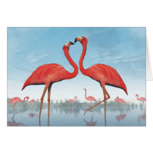 Flamingoumwerbung - 3D übertragen