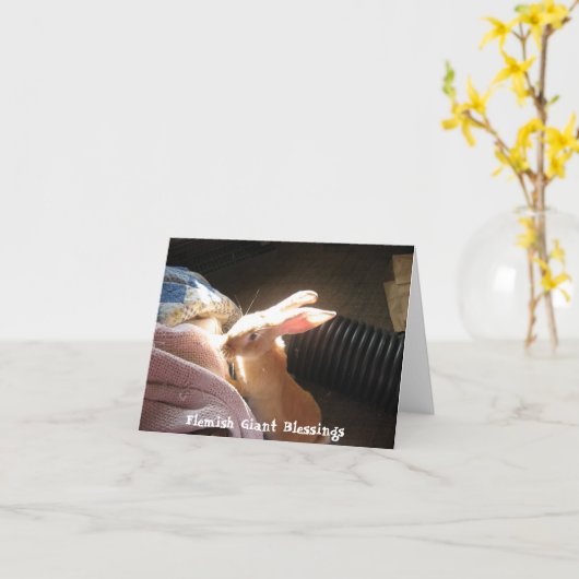 Flämischer riesiger Segen Notecards Karte (Gelbe Blume)