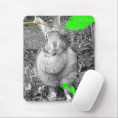 Flämisches riesiges Kaninchen B u. W mit grünem Mousepad (Mit Mouse)