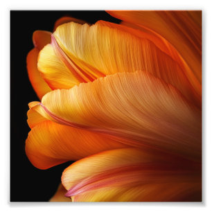 Flamme der Gnade - Goldener Tulip im Blühen Fotodruck