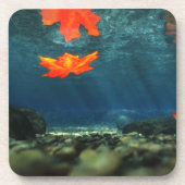 Flamme im Untersetzer des Wasserkorks (Vorderseite)