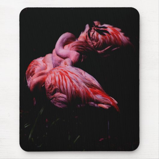 Flammen im Dunkeln Mousepad (Vorne)