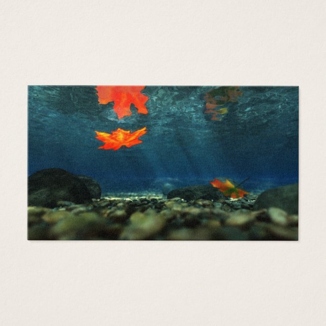 Flammen in den Lesezeichen des Wassers (Vorderseite)