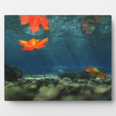 Flammen in der Wasserbildfläche Fotoplatte (Vorderseite)