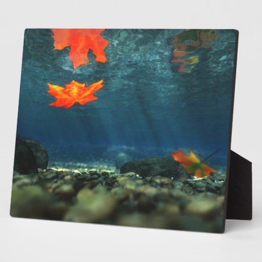 Flammen in der Wasserbildfläche Fotoplatte (Seite)