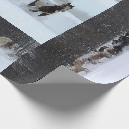 Flammen-neues HinterpferdePackpapier Geschenkpapier (Ecke)