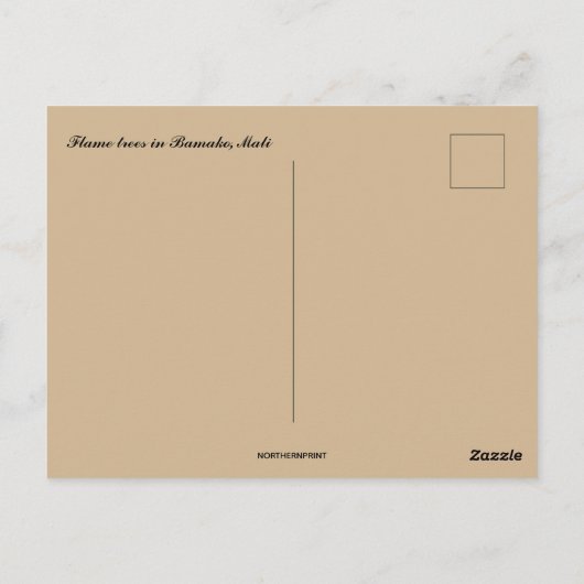 Flammenbäume in Bamako Mali Postkarte (Rückseite)
